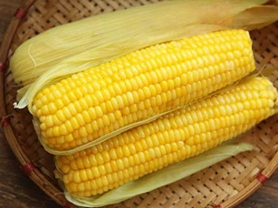 Mỗi ngày 1 bắp ngô ngừa được nhiều bệnh, tốt cho sức khỏe