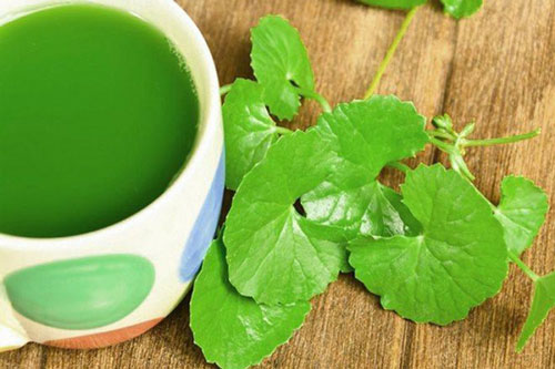 Những lợi ích thần kì của rau má mà rất nhiều người vẫn coi như "rau dại"