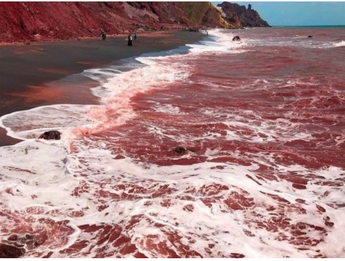 Vùng biển kỳ lạ có hiện tượng 'sóng máu' đánh vào bờ 