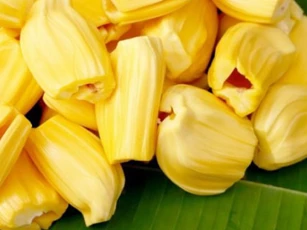 Sai lầm khi ăn mít khiến bạn dễ ngộ độc, gây hại cho sức khỏe