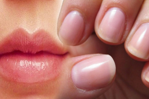 Người sống thọ luôn có 3 bộ phận trên cơ thể màu đỏ, có 1/3 thôi đã rất đáng mừng