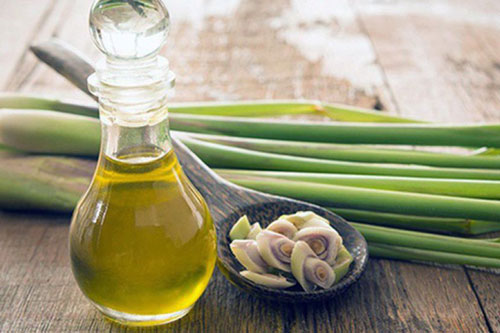 Tác hại khôn lường của việc sử dụng tinh dầu để diệt muỗi