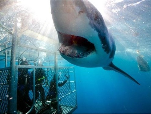 Top 15 địa điểm du lịch chỉ dành cho người có 'thần kinh thép'