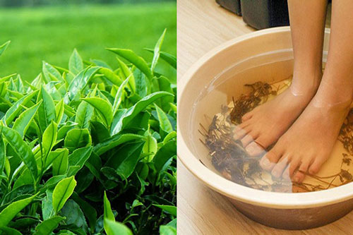 Vo nát lá chè xanh, đun sôi "thổi bay" mùi hôi chân khó chịu