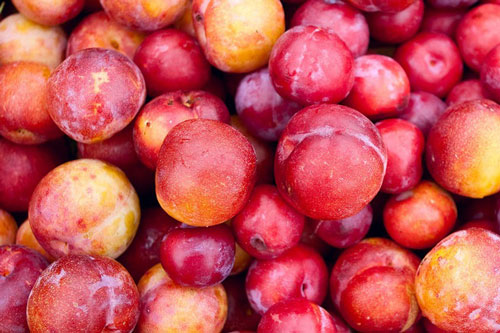 Lợi ích tuyệt vời của quả mận, ai không biết là tiếc hùi hụi