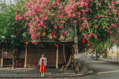 Lang thang những góc sống ảo lạ khi đến Hội An