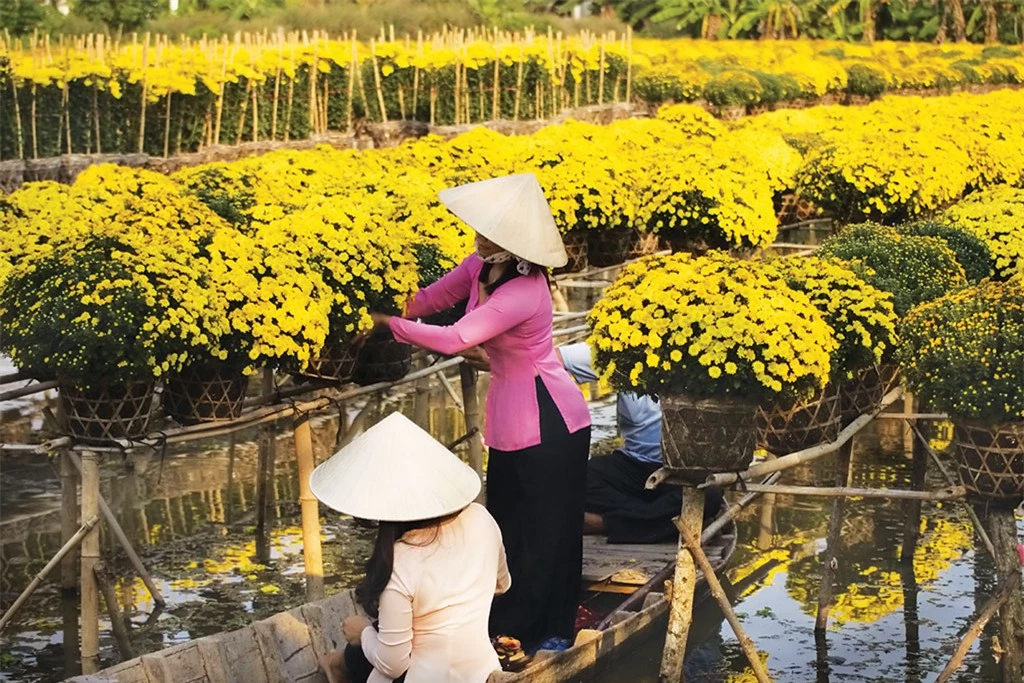 Trên bến sông, những chàng trai cô gái đang chuyền tay nhau vô vàn chậu hoa để chở về thành phố, chở lên Sài Gòn, chở đi muôn nơi làm đẹp cho đời