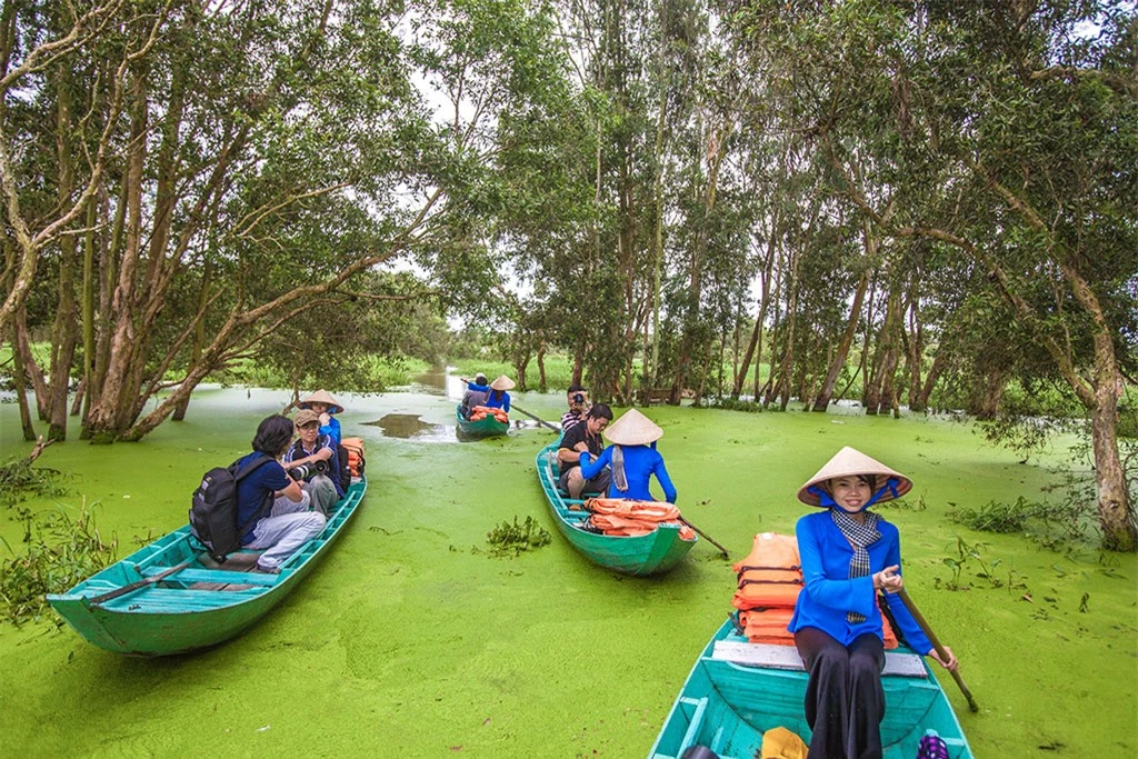 Người đi lặng lẽ trôi trên chiếc xuồng ba lá quẫy nhẹ nước bằng chèo, đi sâu vào ngõ ngách những quãng nước lặng, nghe tiếng chim kêu vút lên trong không gian mát lạnh trong veo.