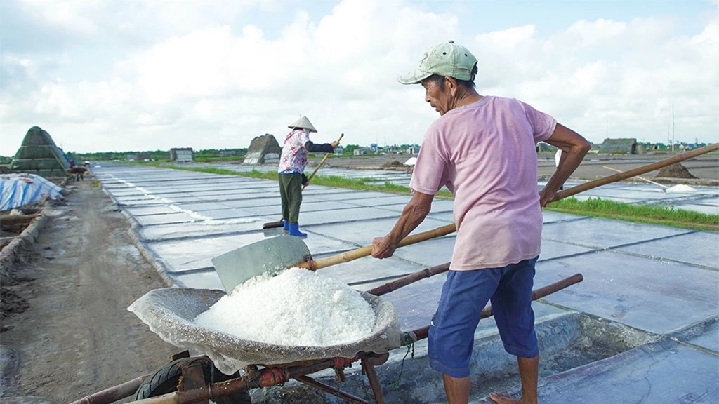 Không quản ngại trời nắng gắt, trên từng thửa ruộng trồng muối, những chiếc lưng oằn lên, phơi mình trong cái nắng om da để chờ đợi thành quả lao động của mình