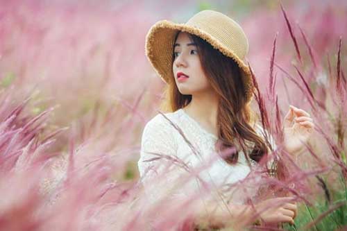 Đồi cỏ hồng đẹp như truyện tranh ở Lâm Đồng