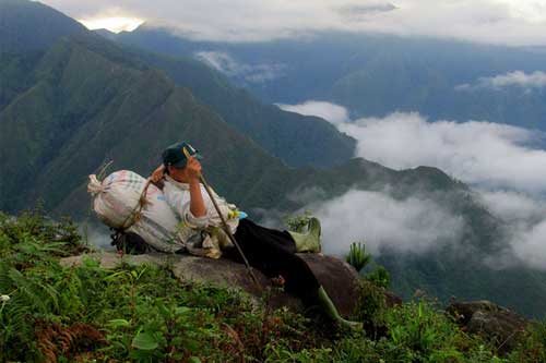 Tuổi trẻ nhất định một lần phải đến Sơn La săn mây Tà Xùa