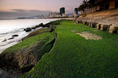 Top 5 điểm du lịch không thể bỏ qua khi đến Nha Trang
