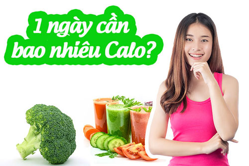 Một ngày cơ thể cần bao nhiêu calo?