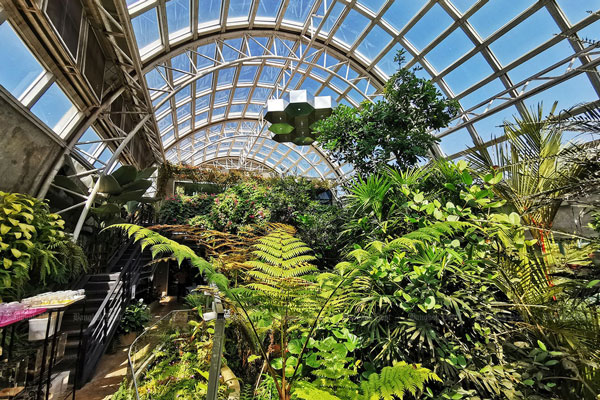 Bên trong khu bảo tồn côn trùng ở Thái Lan