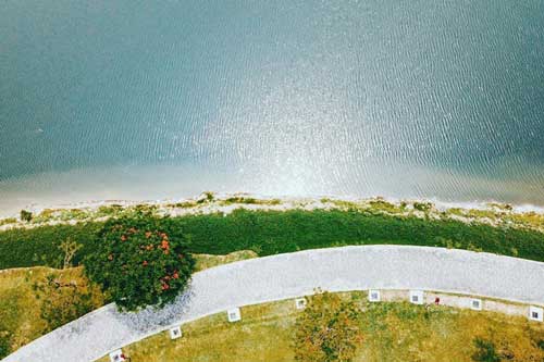 Cắm trại ở công viên Yên Sở, check-in hoa điệp vàng