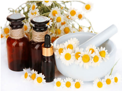 Những loại thảo mộc giúp bạn chống lại căng thẳng