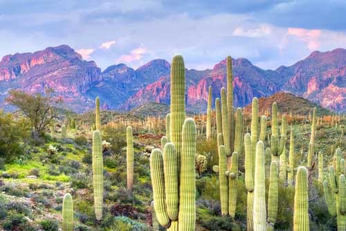 Mãn nhãn với chùm ảnh về những sa mạc tuyệt đẹp trên thế giới