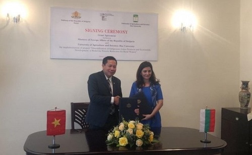 Dự án sen Huế được Bộ Ngoại giao Bulgaria tài trợ 