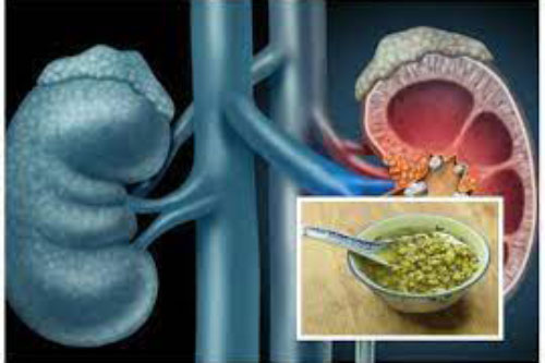 5 món ăn vừa mát vừa lành, lọc sạch bong độc tố cho gan- thận, cả đời không lo bệnh tật