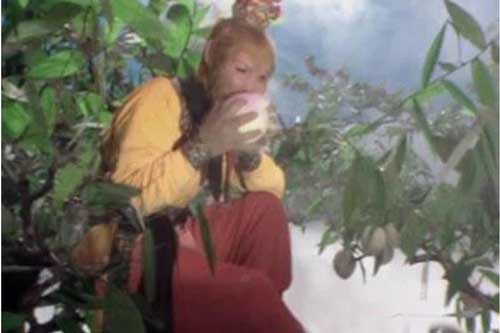 Tây Du Ký có 4 loại thuốc trường sinh, Tôn Ngộ Không đã sử dụng 3 loại, còn loại cuối cùng sợ không dám đụng đến - Vì sao?