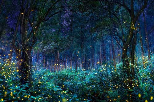 Chiêm ngưỡng những cảnh đẹp siêu thực như ở ngoài hành tinh