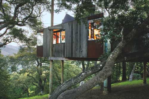 Những ngôi nhà trên cây tuyệt đẹp ai cũng muốn sống thử