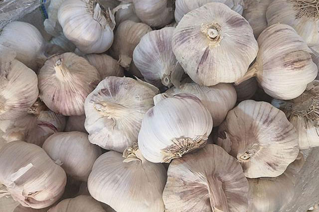 4 loại tỏi tuyệt đối không chọn mua