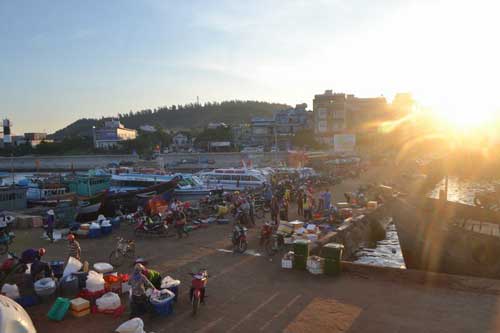 Trải nghiệm đi chợ cá trên đảo Lý Sơn