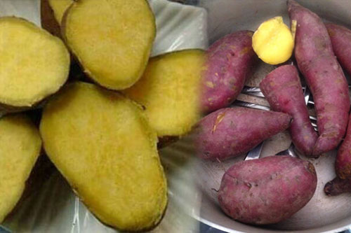 2 khung giờ vàng ăn khoai lang cực tốt cho cơ thể, giúp giảm cân nhanh thần tốc