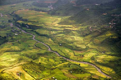 Ngây ngất trước vẻ đẹp Mù Cang Chải mùa lúa chín