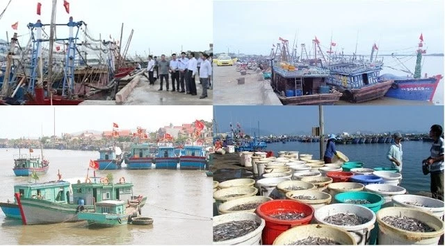 Cụm công nghiệp cảng cá Hòa Lộc (Hậu Lộc, Thanh Hóa)