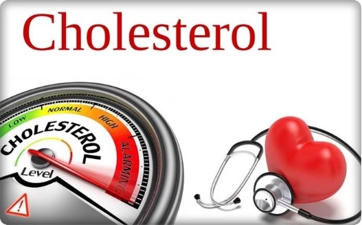 Cholesterol cao gây ra nhiều biến chứng cho sức khỏe.