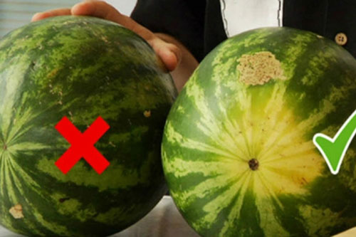Mưa dưa hấu không cần gõ vào vỏ, nhìn đúng điểm này đảm bảo chọn được quả ngọn ngọt