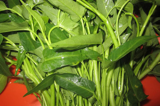 Ăn rau muống kiểu này là bạn đang tự hại cả gia đình mình