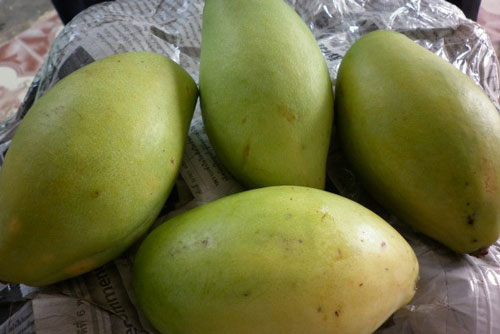 Mua xoài chỉ cần nhìn vào vỏ đảm bảo chọn đúng quả tươi ngon ngọt nhất, "bách phát bách trúng"
