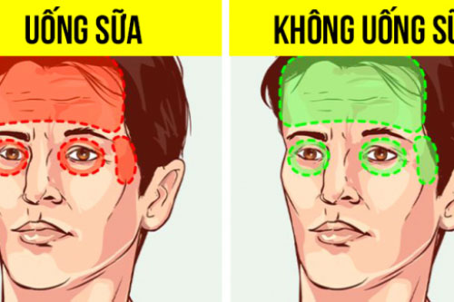 Điều gì sẽ xảy ra với cơ thể nếu bạn ngừng uống sữa và các sản phẩm từ sữa?