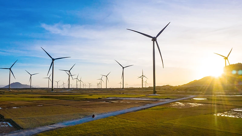 Nhà máy Điện gió Trung Nam có tổng vốn đầu tư khoảng 4.000 tỷ đồng.