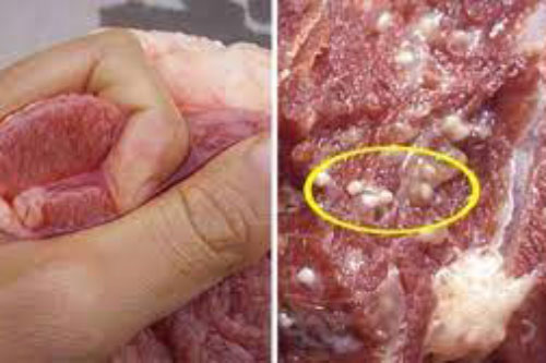 4 loại thịt lợn dù rẻ như cho cũng không nên mua kẻo ăn vào ngộ độc