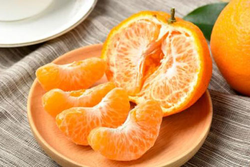 &#x110;&#xE2;y l&#xE0; l&#xFD; do b&#x1EA1;n n&#xEA;n &#x103;n qu&#xFD;t m&#x1ED7;i ng&#xE0;y