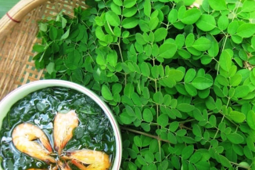 Những loại rau cực bổ nhưng mẹ bầu tuyệt đối không được động đũa kẻo hại mẹ, hại con