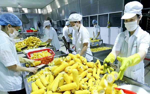 Hỗ trợ doanh nghiệp miền Trung xuất khẩu bền vững sang Trung Quốc