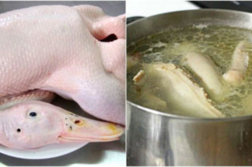 Luộc vịt cho gia vị thần thánh này: Thịt thơm ngon hết hôi ai cũng thích