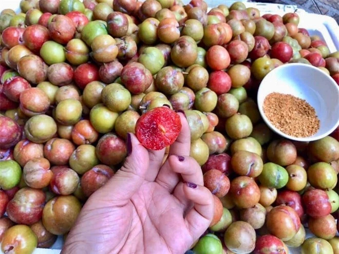 Mận đầu mùa giá 150.000 đồng/kg ế khách - Ảnh 1.