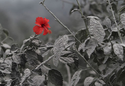 Những hình ảnh tự nhiên khiến người xem tưởng lầm sản phẩm của Photoshop