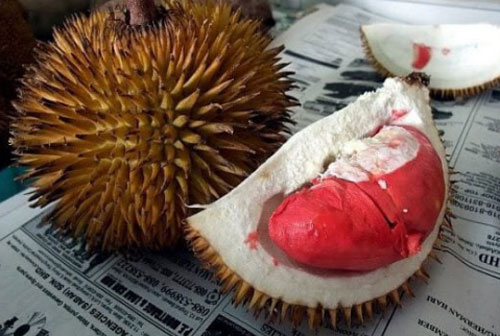 Bất ngờ khi sầu riêng còn có ruột màu này ngoài màu vàng truyền thống