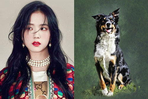 Tử vi hai tháng tới : 3 con giáp “thời tới cản không được” tháng 5 tiền bạc đầy ví, tháng 6 thăng quan phát tài