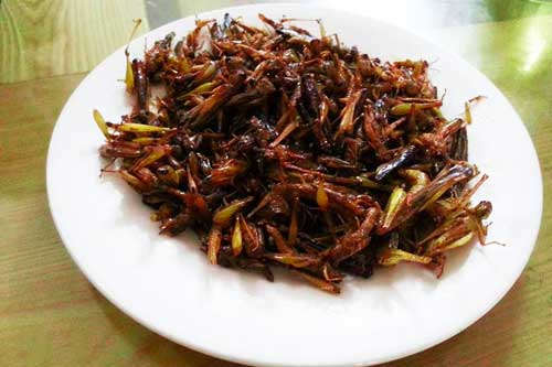 Những đặc sản không thể bỏ lỡ khi đến Mù Cang Chải