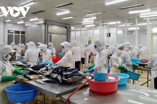 Việt Nam đã khai thác tốt nhiều thị trường trong CPTPP