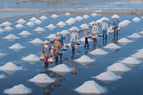 Cần nâng cao giá trị hạt muối Việt Nam