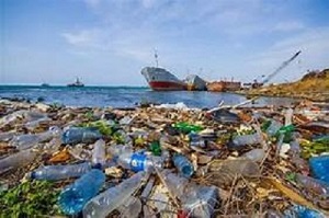 WasteAid phát động cuộc thi “Sáng kiến thành phố không rác thải” trị giá 10.000 euro